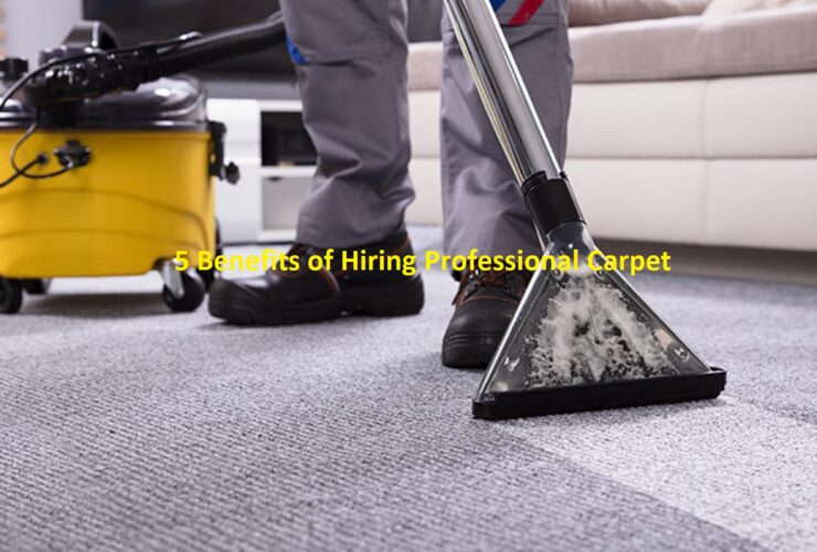 Carpet Cleaners